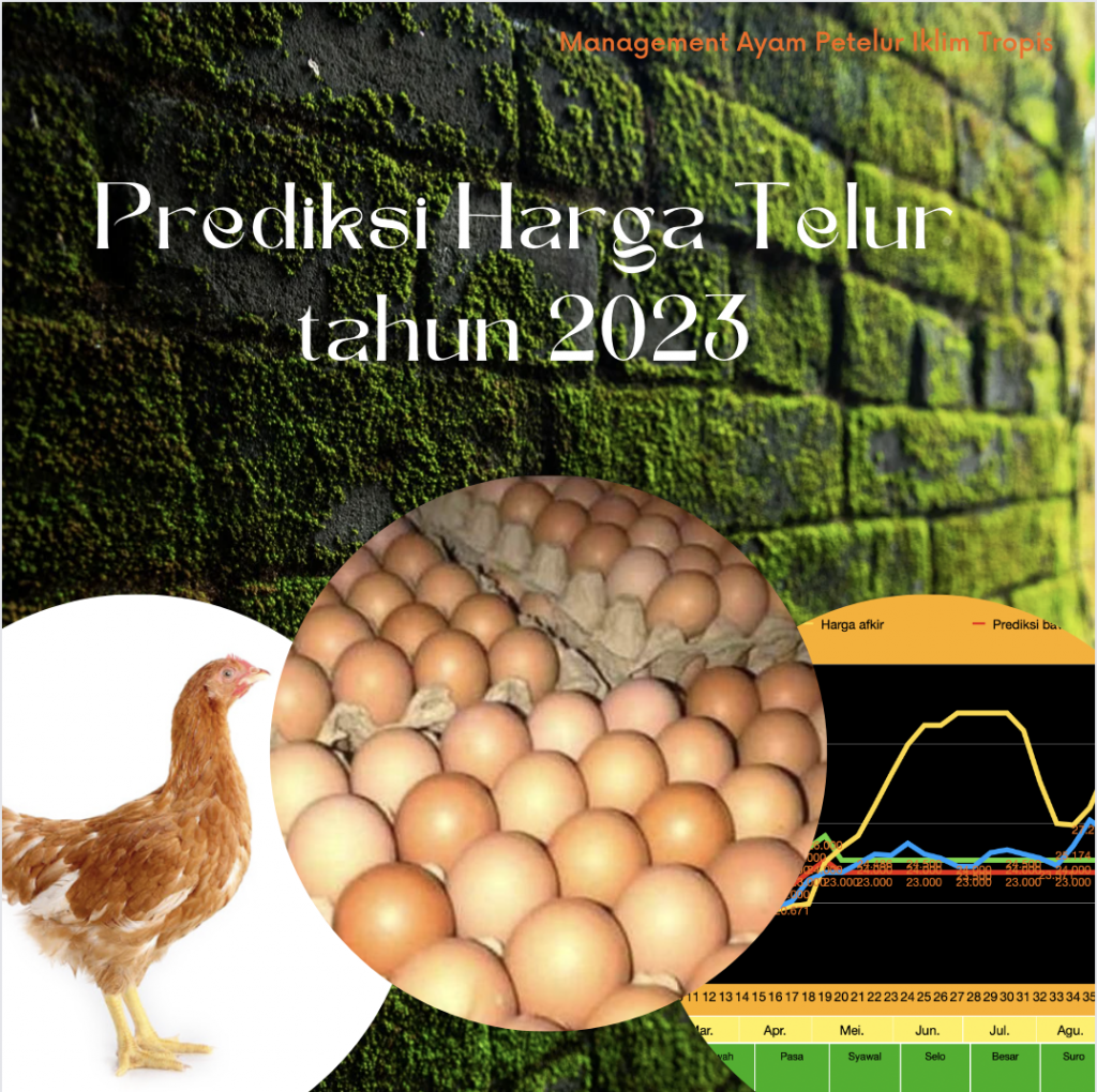 Harga telur tahun 2023