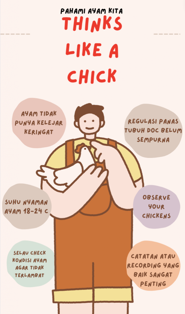 Memahami ayam